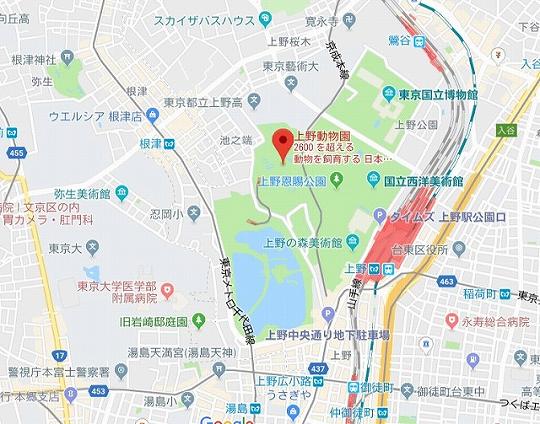 上野恩賜動物園（上野動物園）